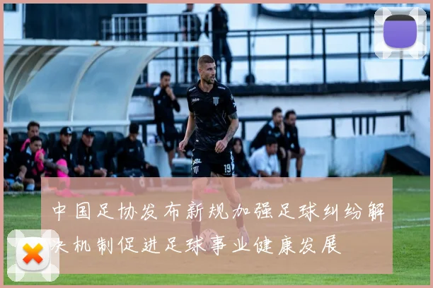 中国足协发布新规加强足球纠纷解决机制促进足球事业健康发展