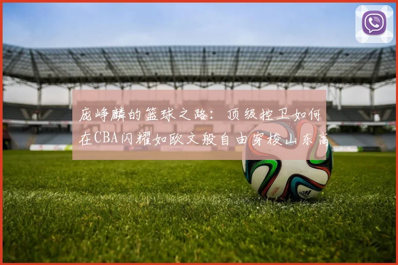 庞峥麟的篮球之路：顶级控卫如何在CBA闪耀如欧文般自由穿梭山东高速